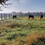 Equi Guidance 3* Wapenveld