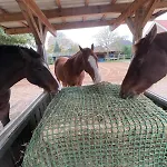 Equi Guidance