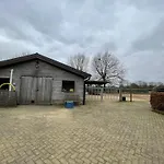 Equi Guidance Nocleg ze śniadaniem Wapenveld