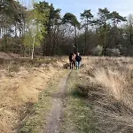Equi Guidance Wapenveld