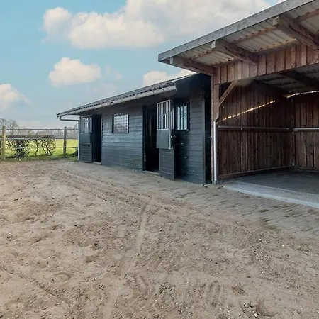 Equi Guidance Oda ve Kahvaltı