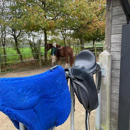 Equi Guidance Bed and breakfast 3*