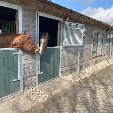 Equi Guidance 3* Wapenveld