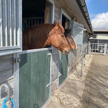 Equi Guidance Oda ve Kahvaltı Wapenveld