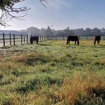 Equi Guidance 3* Wapenveld