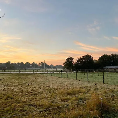 Oda ve Kahvaltı Equi Guidance