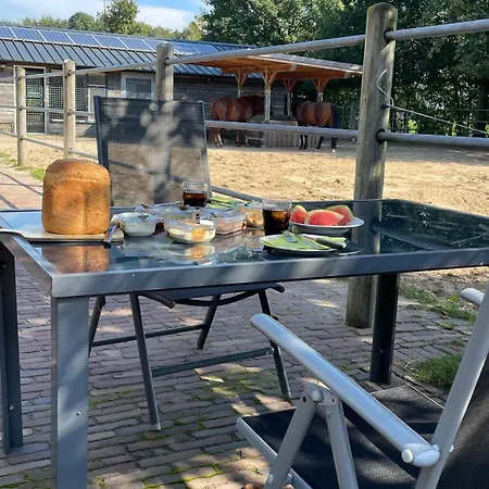 Bed and breakfast Equi Guidance 3*