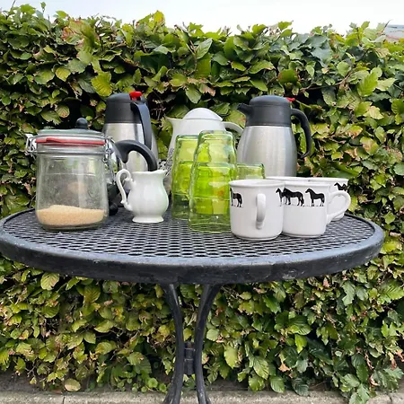 Equi Guidance Wapenveld