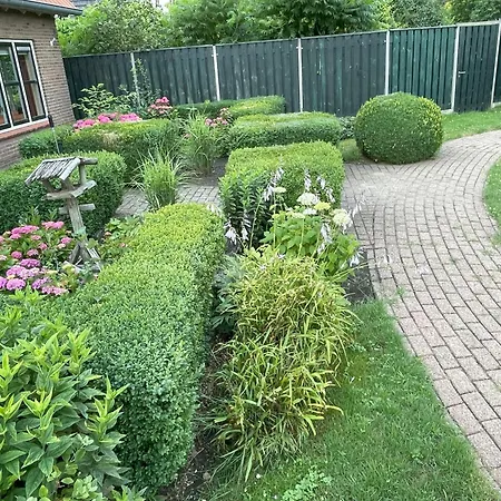 Oda ve Kahvaltı Equi Guidance