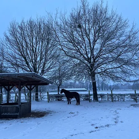 Equi Guidance Bed and breakfast Wapenveld