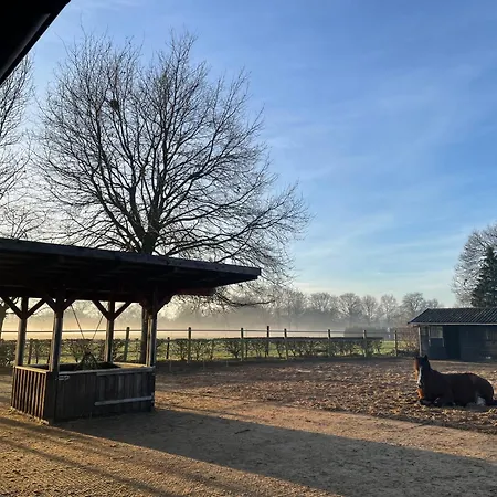Equi Guidance Bed and breakfast 3*