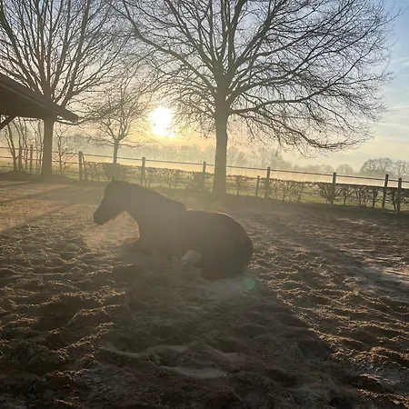 Equi Guidance Bed and breakfast 3*