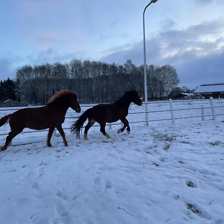 Bed and breakfast Equi Guidance