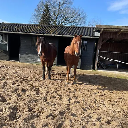 Equi Guidance Wapenveld