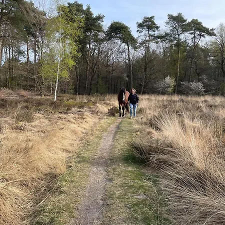 Equi Guidance Wapenveld