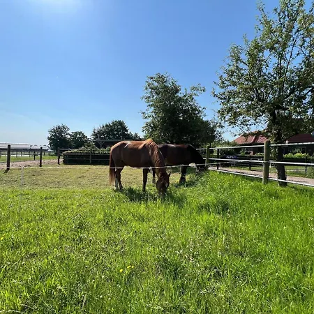 Equi Guidance Bed and breakfast