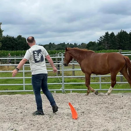 Equi Guidance 3* Wapenveld