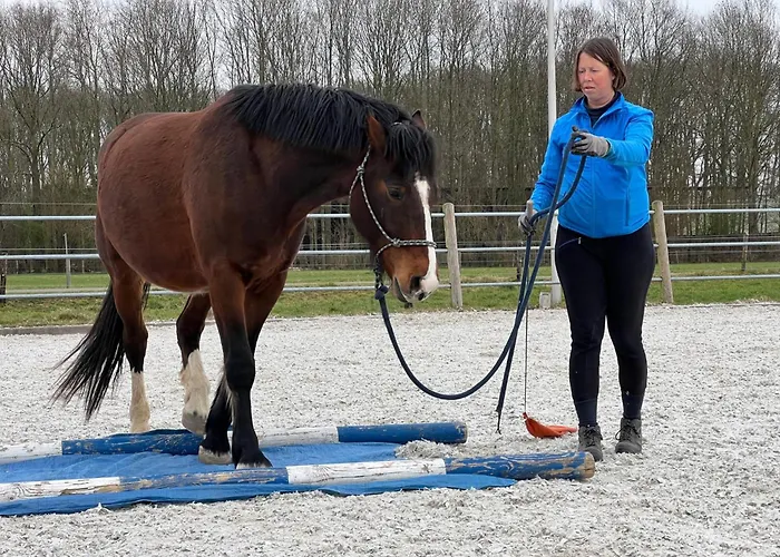 Equi Guidance Bed and breakfast 3*