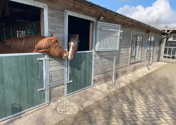 Equi Guidance 3* Wapenveld