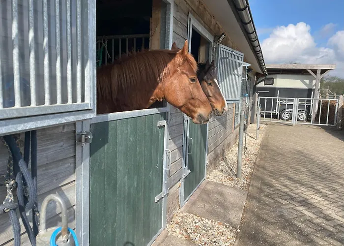 Equi Guidance Bed and breakfast Wapenveld