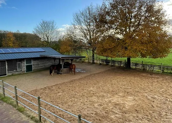 Equi Guidance Bed and breakfast