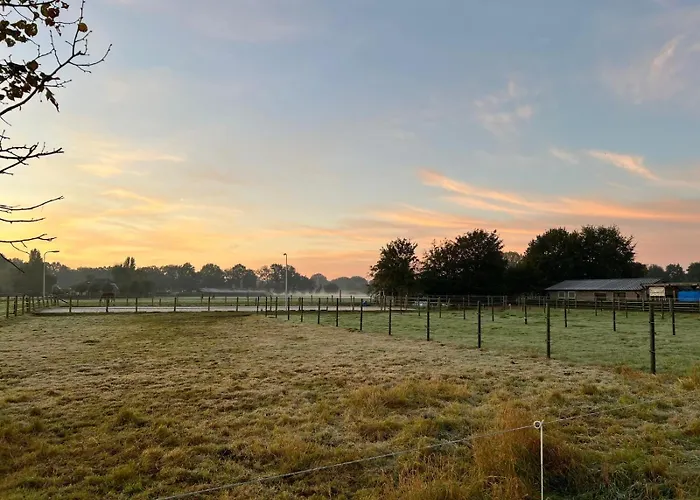 Bed and breakfast Equi Guidance