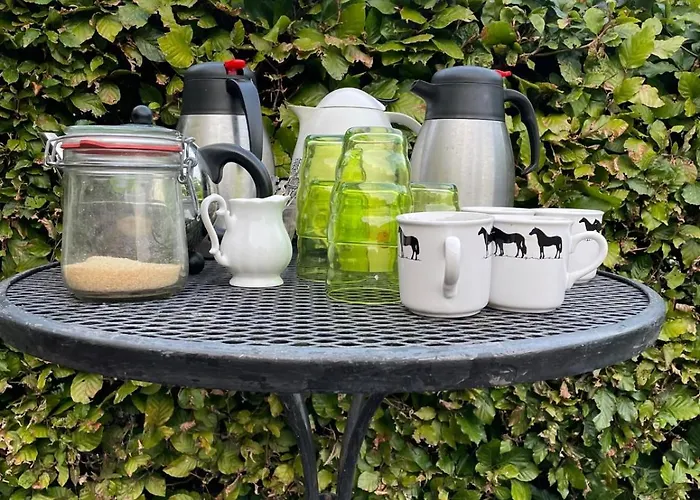 Equi Guidance Wapenveld