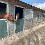 Equi Guidance 3* Wapenveld