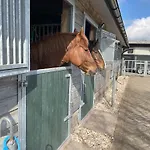 Equi Guidance 住宿加早餐酒店 Wapenveld