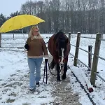 Equi Guidance 3*