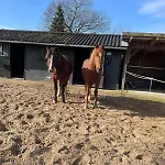 Equi Guidance Wapenveld