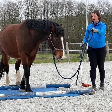 Equi Guidance Bed & Breakfast 3*