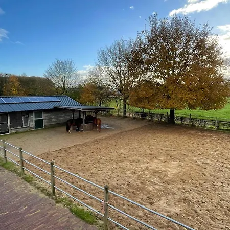 Equi Guidance Bed & Breakfast