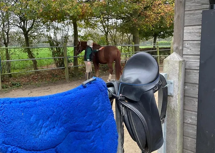 Equi Guidance Bed & Breakfast 3*