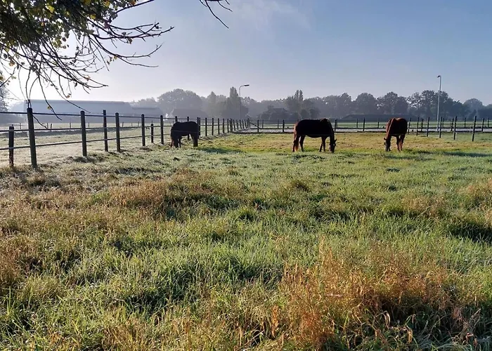 Equi Guidance 3* Wapenveld