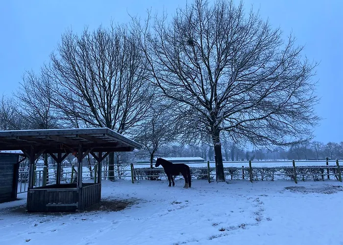 Equi Guidance Bed & Breakfast Wapenveld