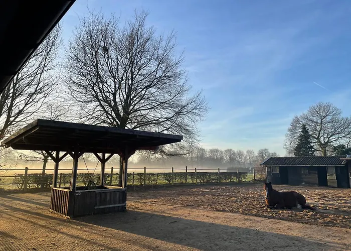 Equi Guidance Bed & Breakfast 3*