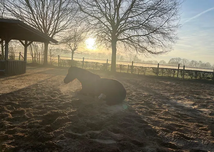 Equi Guidance Bed & Breakfast 3*