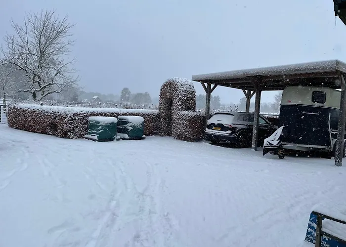 Equi Guidance Bed & Breakfast Wapenveld