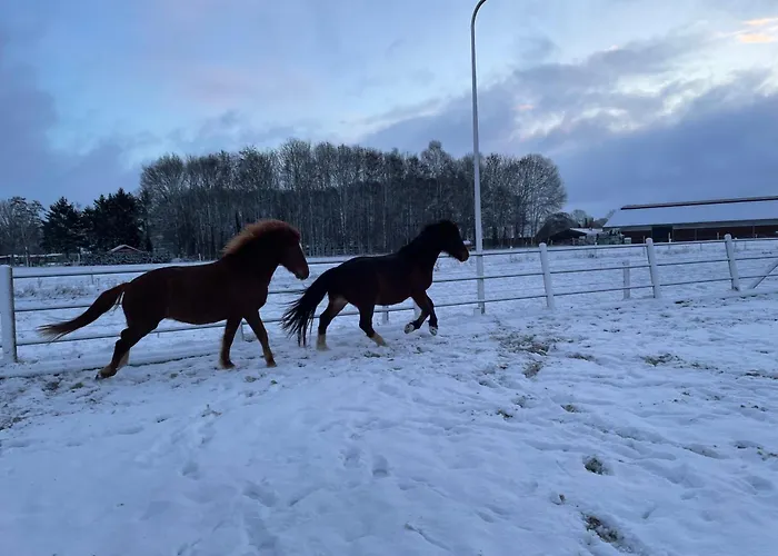 Bed & Breakfast Equi Guidance