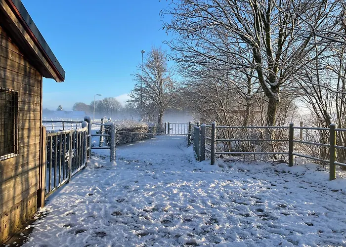 Equi Guidance Wapenveld