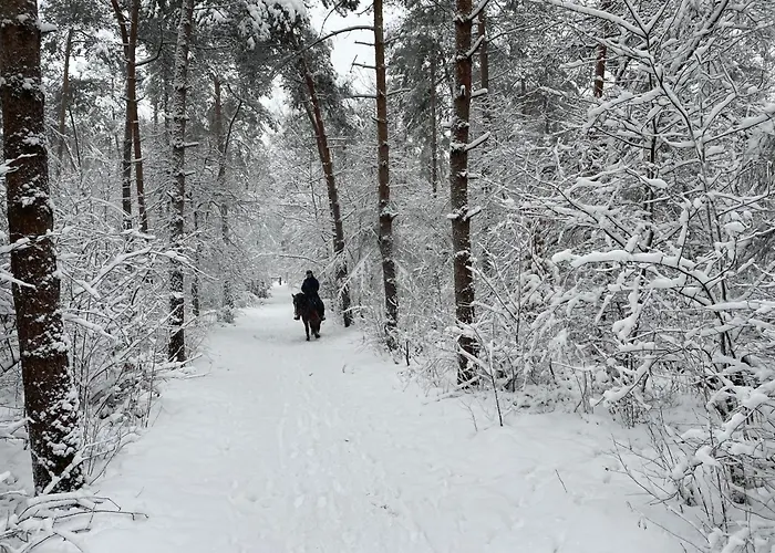 Bed & Breakfast Equi Guidance 3*