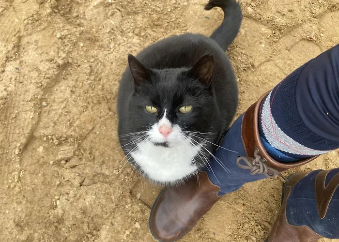 Equi Guidance Wapenveld